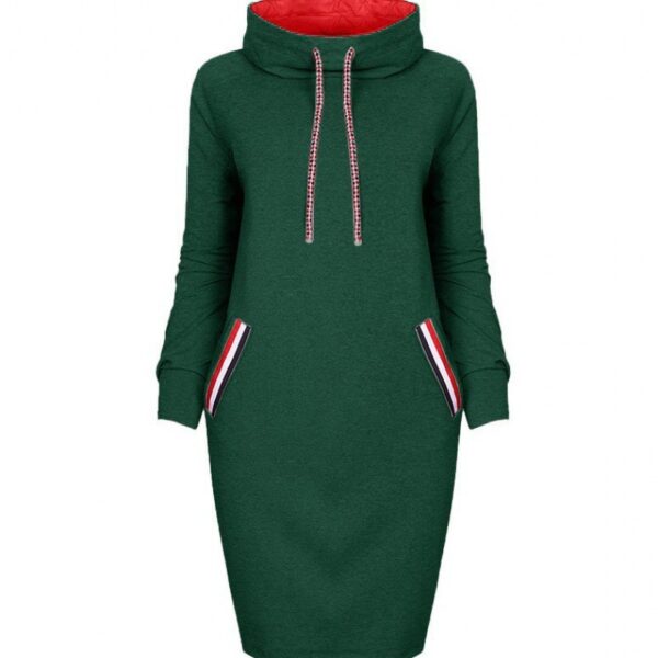 Autumn winter dress Long sleeve vestidos Casual party dresses vestido de festa women dress plus size High collar robe femme - Image 3